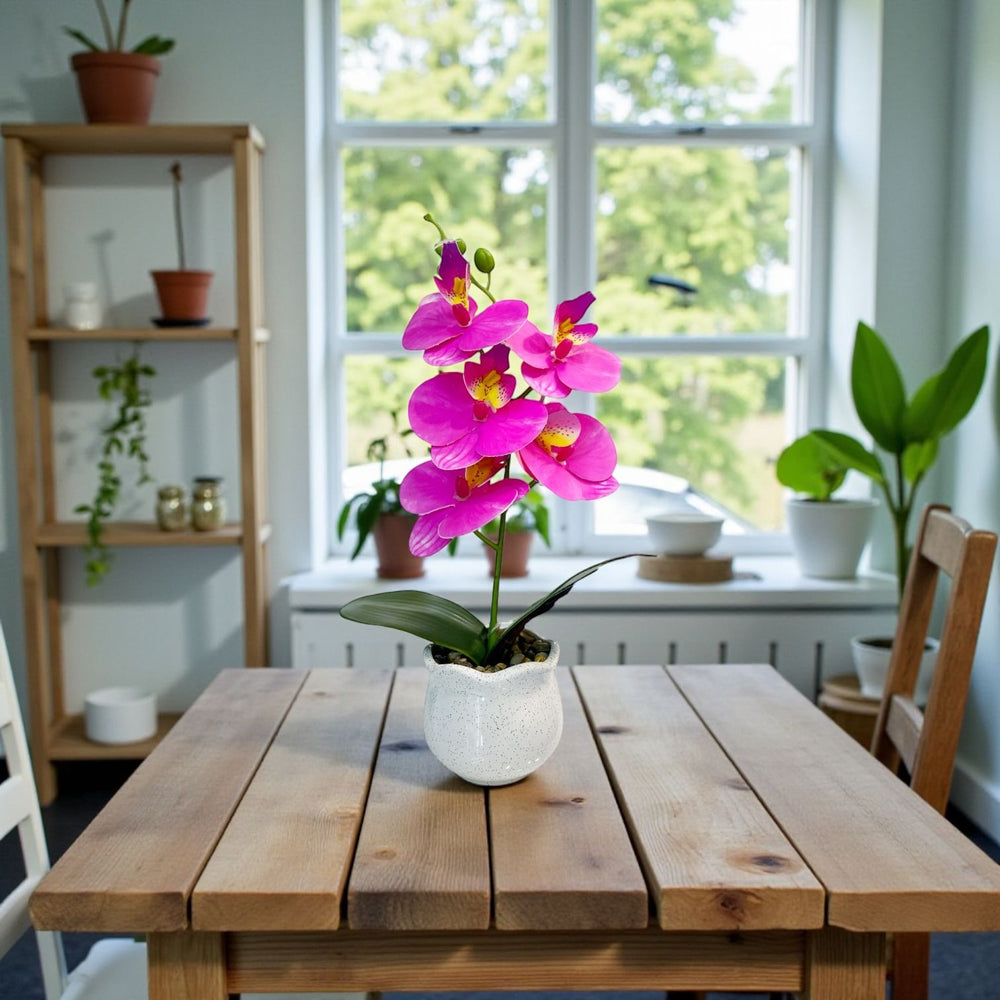 ORQUIDEA VORA FUCSIA