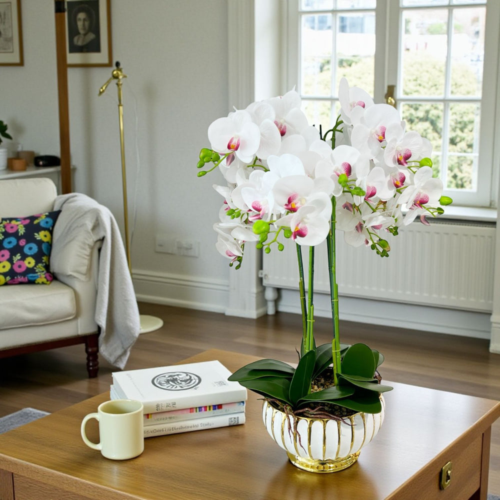 ORQUIDEA LUMA BLANCA F