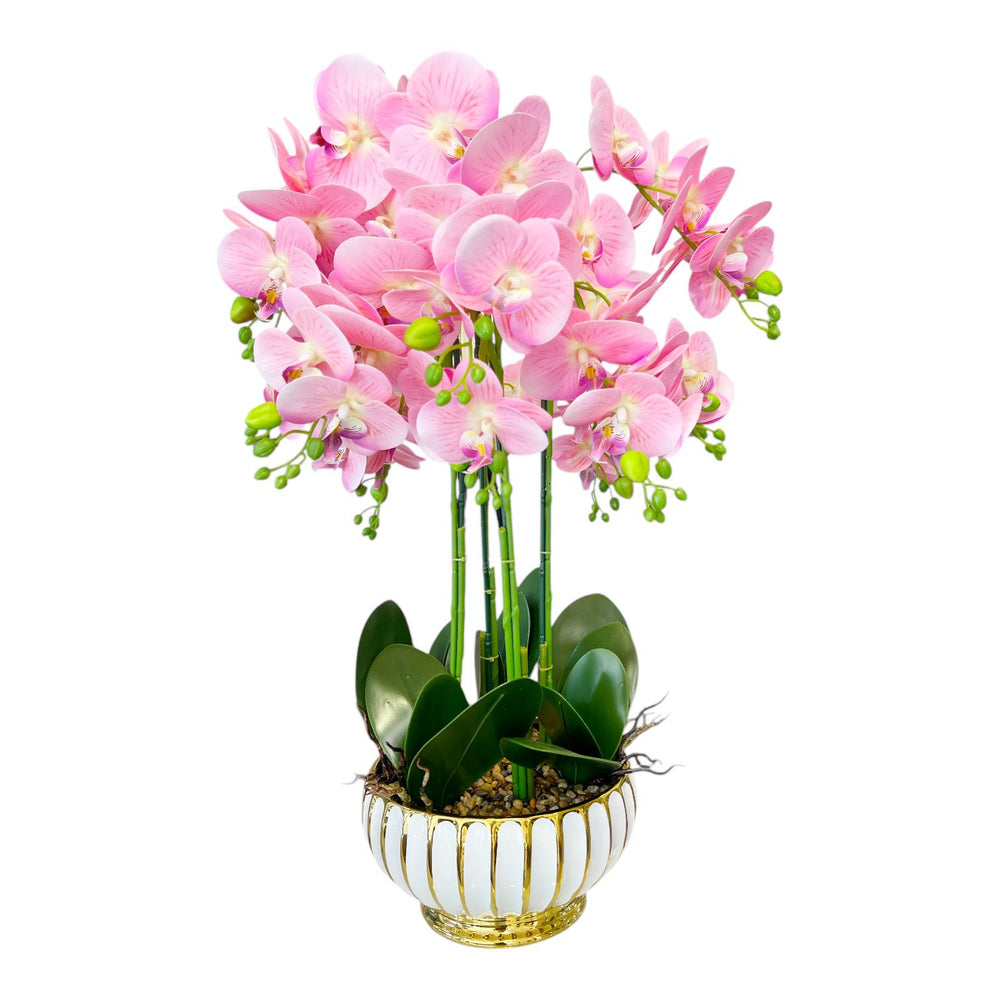 ORQUIDEA LUMA ROSADA