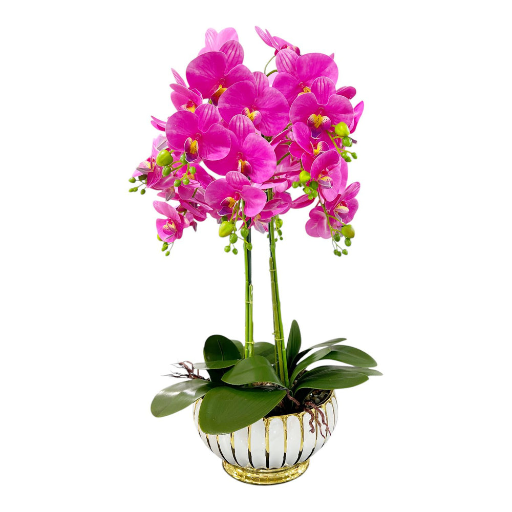 ORQUIDEA LUMA FUCSIA