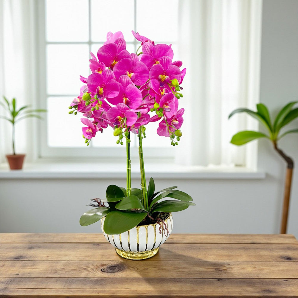 ORQUIDEA LUMA FUCSIA