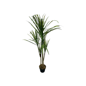 Planta Artificial FRESCURA