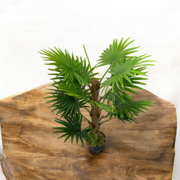 Palmera Artificial ABANICO