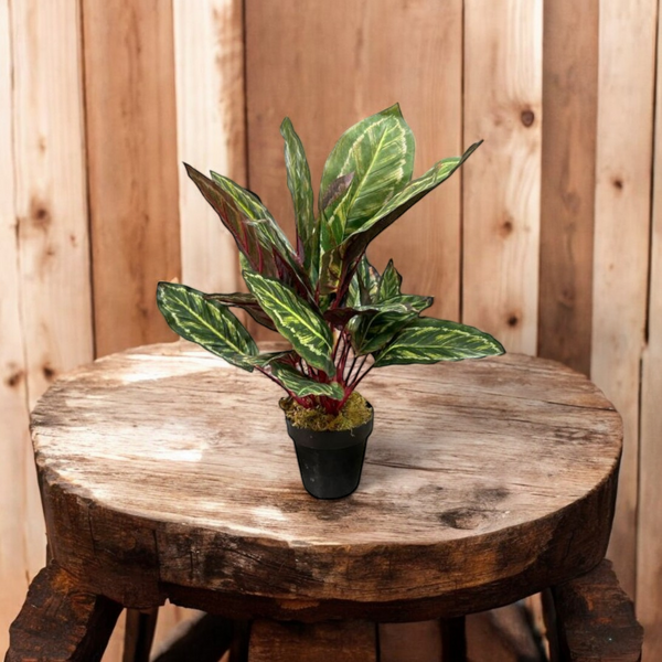 Planta Artificial CALATHEA