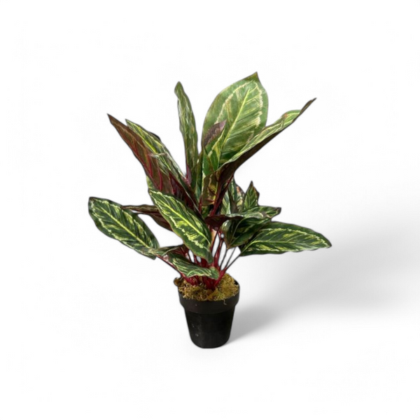 Planta Artificial CALATHEA