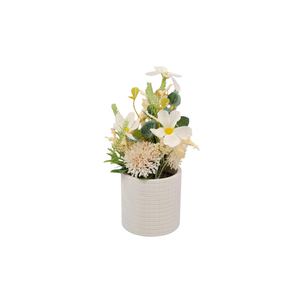 Mini Planta Flores CREMA