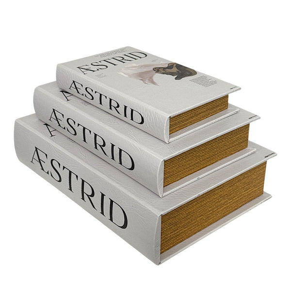 Set de 3 Libros Cofre AESTRID
