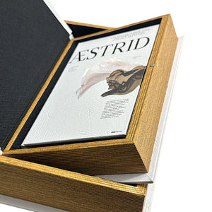 Set de 3 Libros Cofre AESTRID