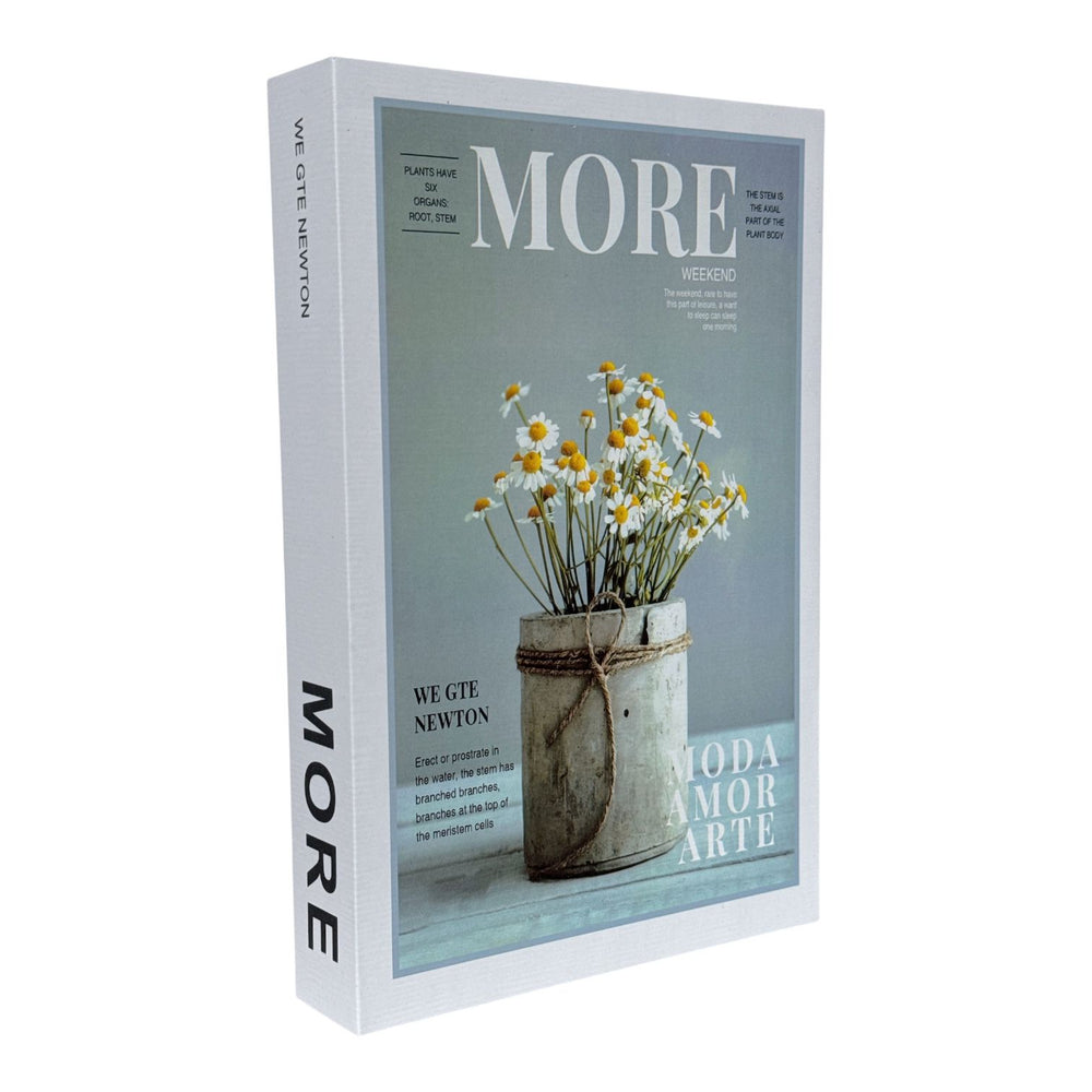 Libro Decorativo MORE