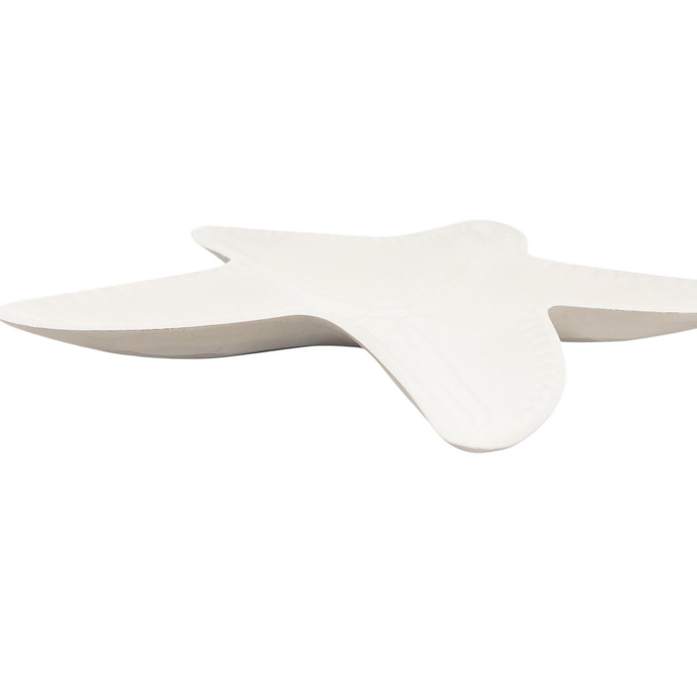 Adorno Estrella de Mar Blanca