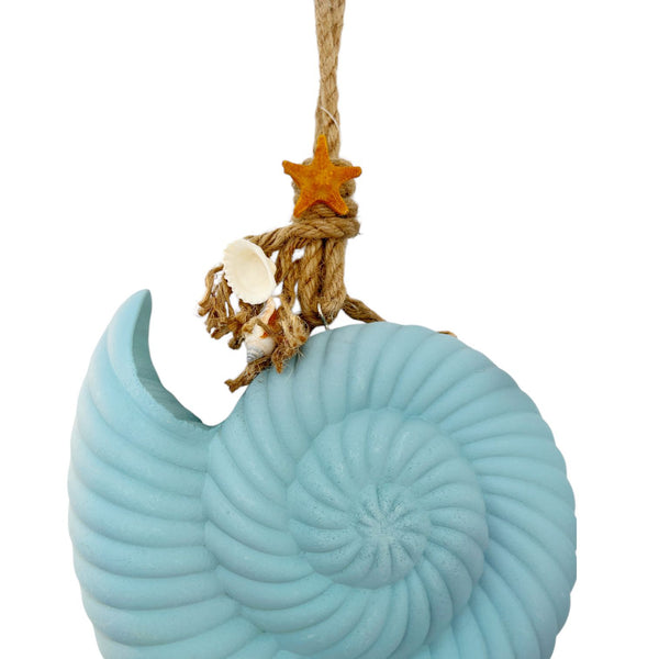 Adorno Caracol de Mar Celeste