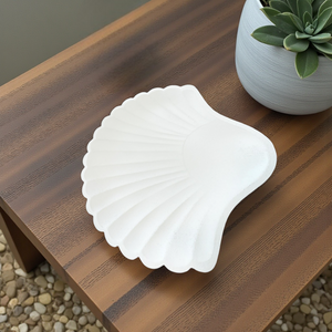 Adorno Concha Blanco