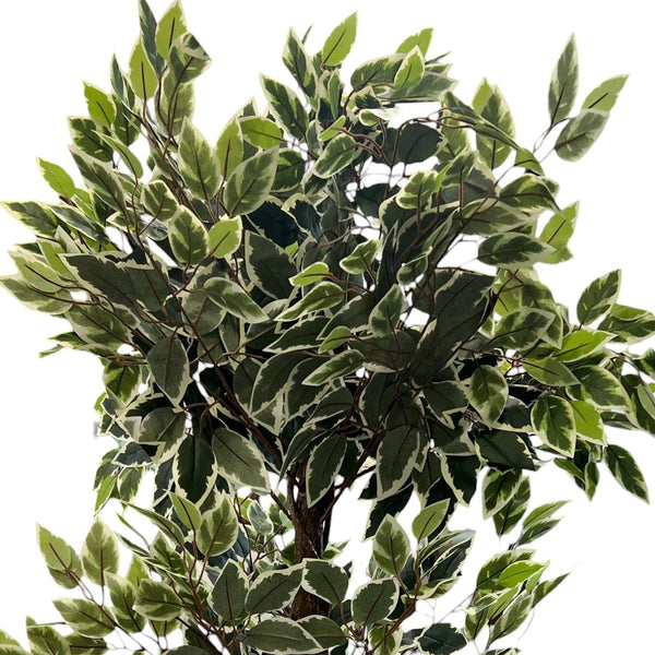 Planta Artifical Ficus Variegata