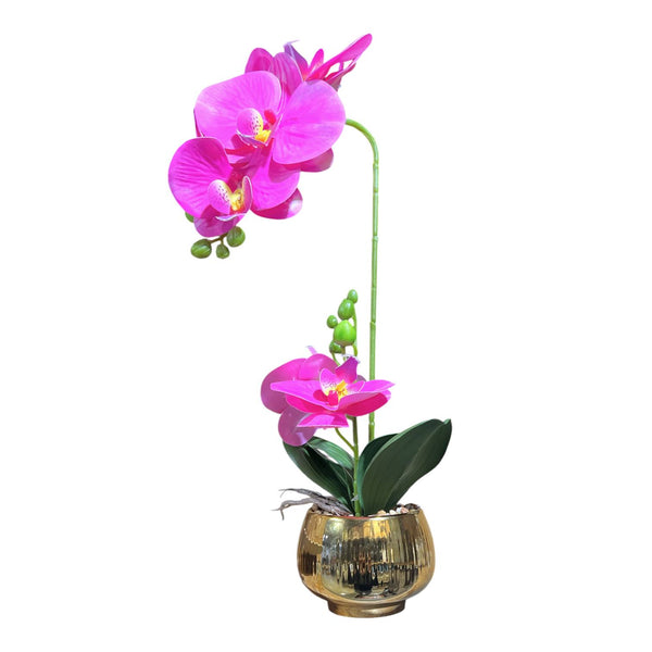 Orquidea Fucsia BRISA