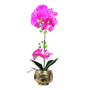 Orquidea Fucsia BRISA