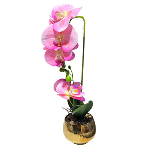 Orquidea Rosada BRISA