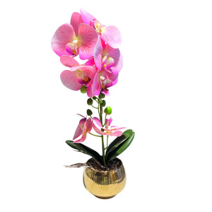 Orquidea Rosada BRISA