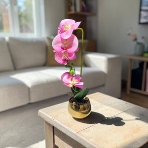 Orquidea Rosada BRISA