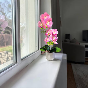 Orquidea Rosada ROCÍO