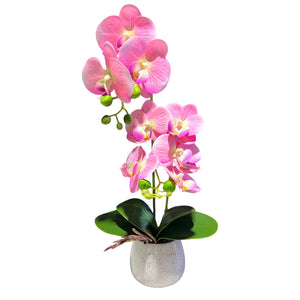 Orquidea Rosada ROCÍO