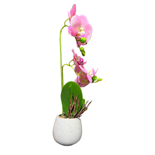Orquidea Rosada ROCÍO
