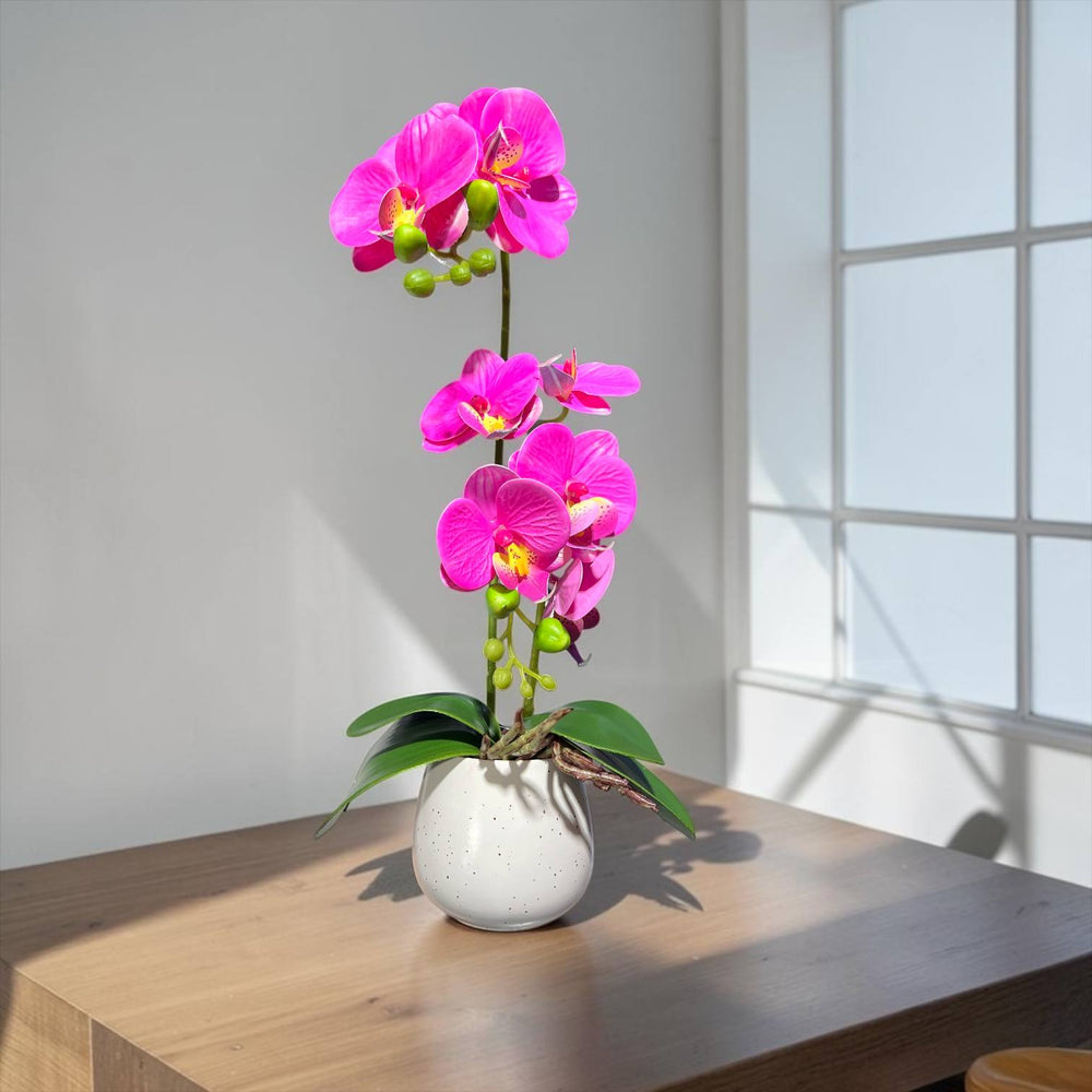 Orquidea Fucsia ROCÍO