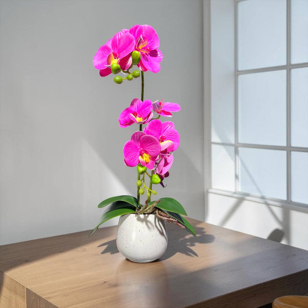 Orquidea Fucsia ROCÍO