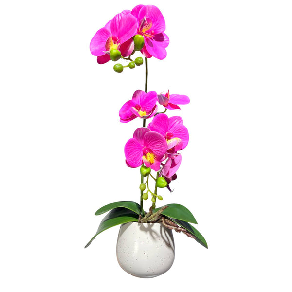 Orquidea Fucsia ROCÍO