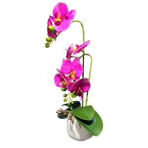 Orquidea Fucsia ROCÍO