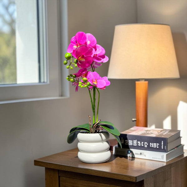 Orquidea FUCSIA SOL