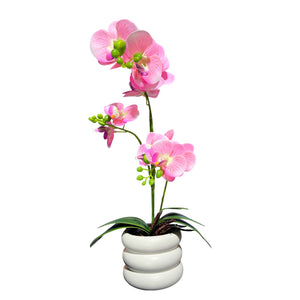 Orquidea Rosada SOL