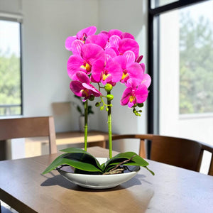 Orquidea Fucsia ESTRELLA