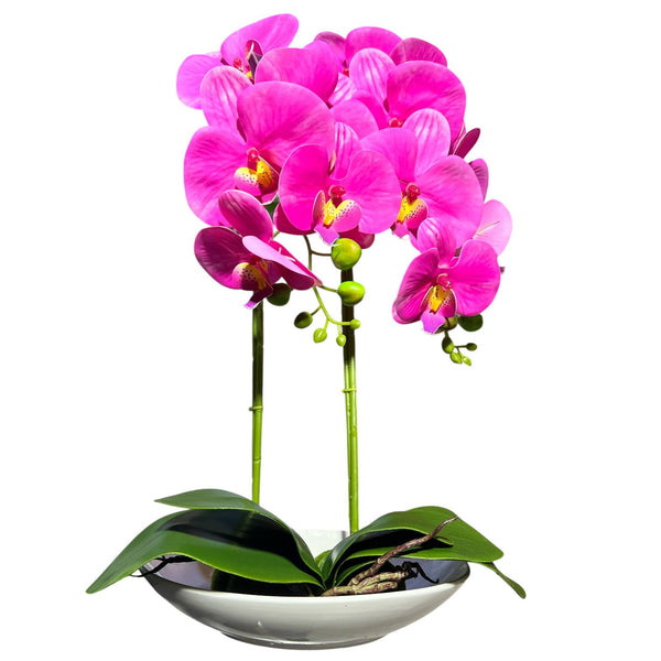 Orquidea Fucsia ESTRELLA
