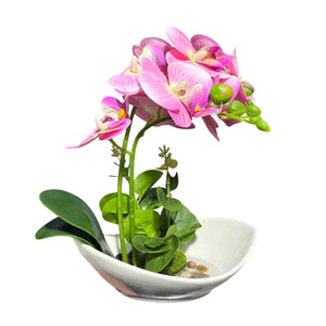 Orquidea Rosada CORAL
