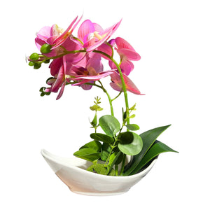 Orquidea Rosada CORAL