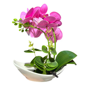 Orquidea Fucsia CORAL