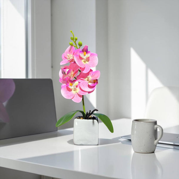 Orquidea Rosada NUBE