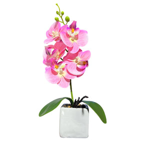Orquidea Rosada NUBE