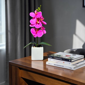 Orquidea Fucsia NUBE