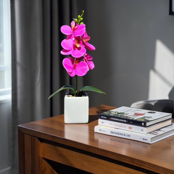 Orquidea Fucsia NUBE