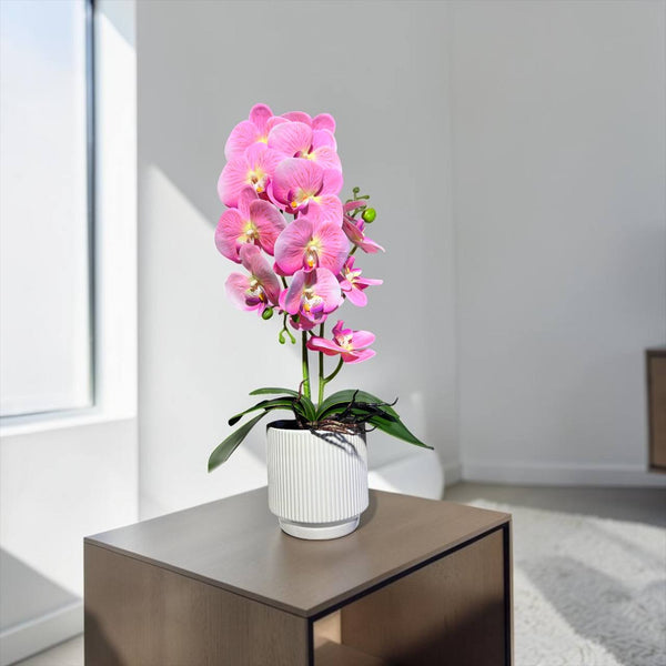 Orquidea Rosada RIO