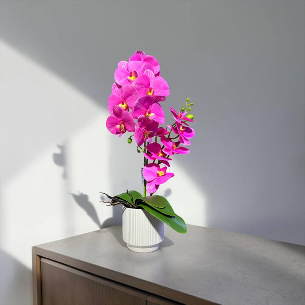 Orquidea Fucsia RIO