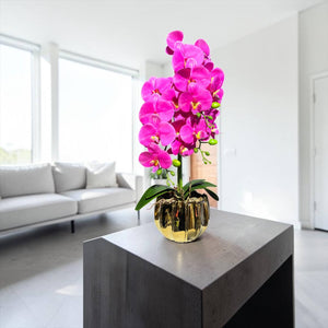 Orquidea Fucsia ARENA