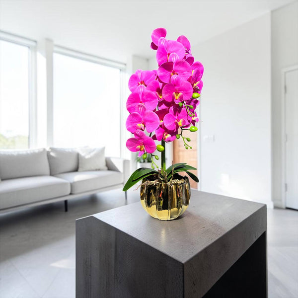Orquidea Fucsia ARENA