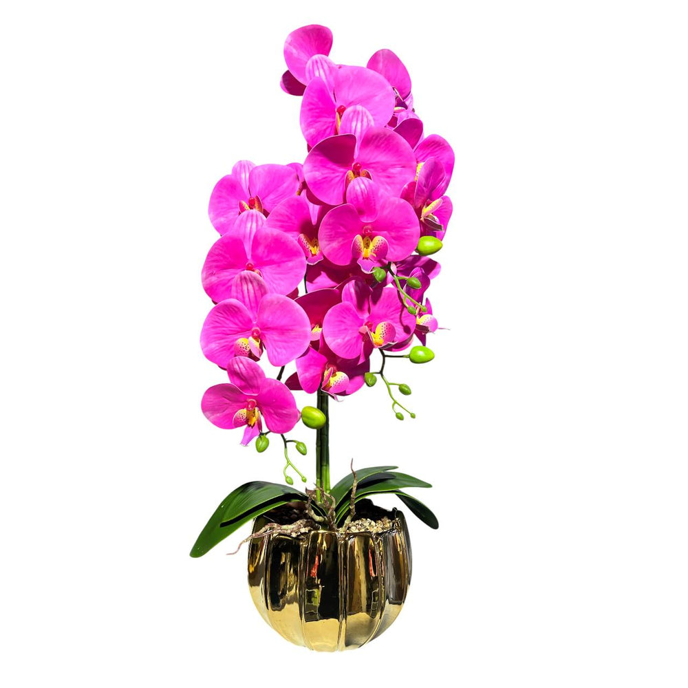 Orquidea Fucsia ARENA