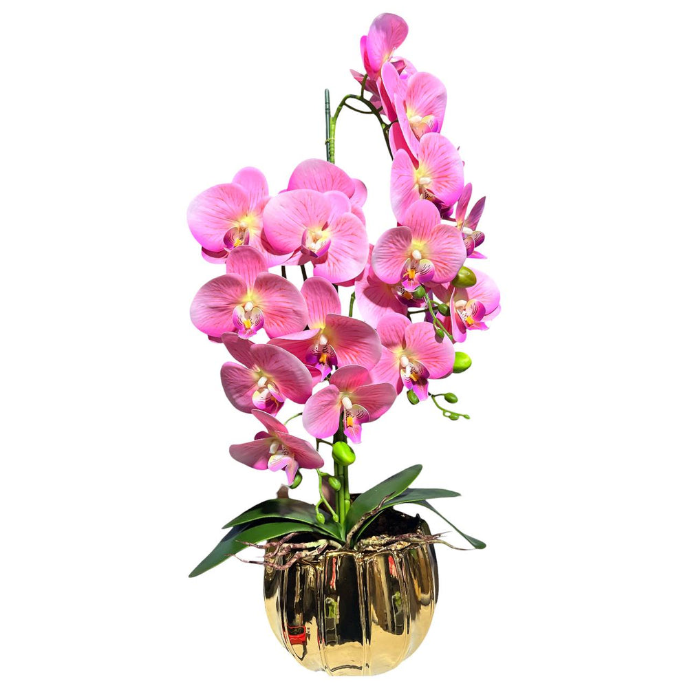 Orquidea Rosada ARENA