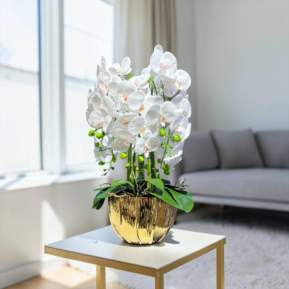 Orquidea Blanca ALBA