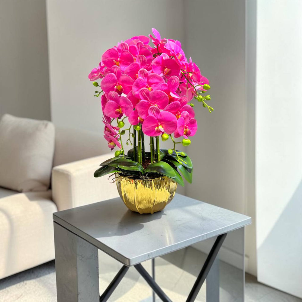 Orquidea Fucsia ALBA