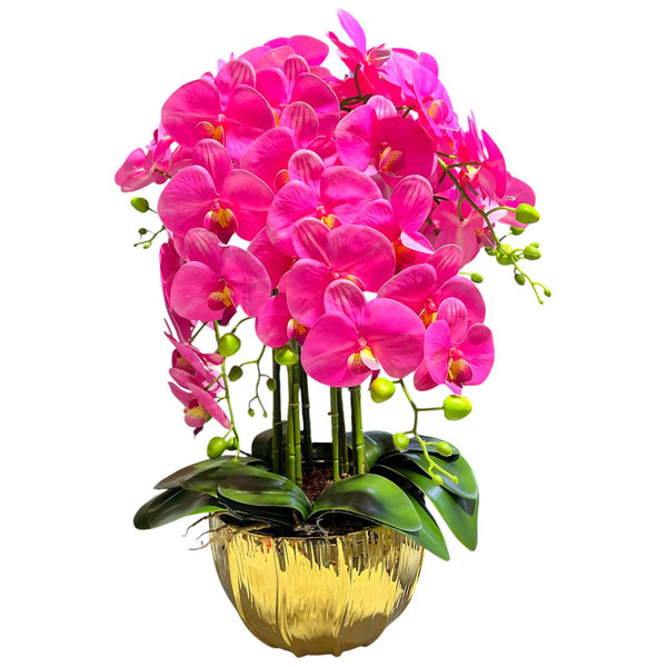 Orquidea Fucsia ALBA