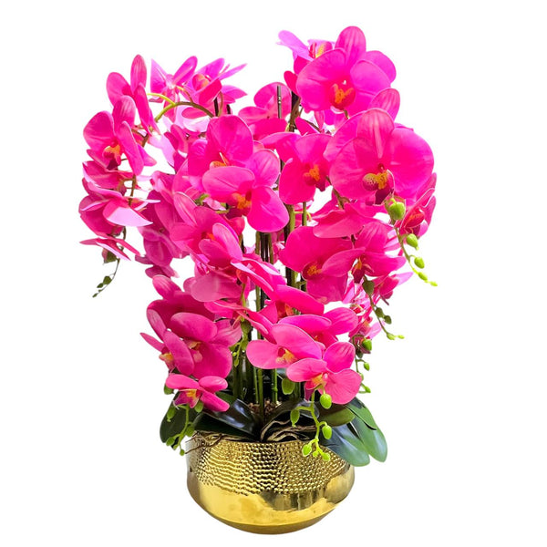 Orquidea Fucsia AURORA